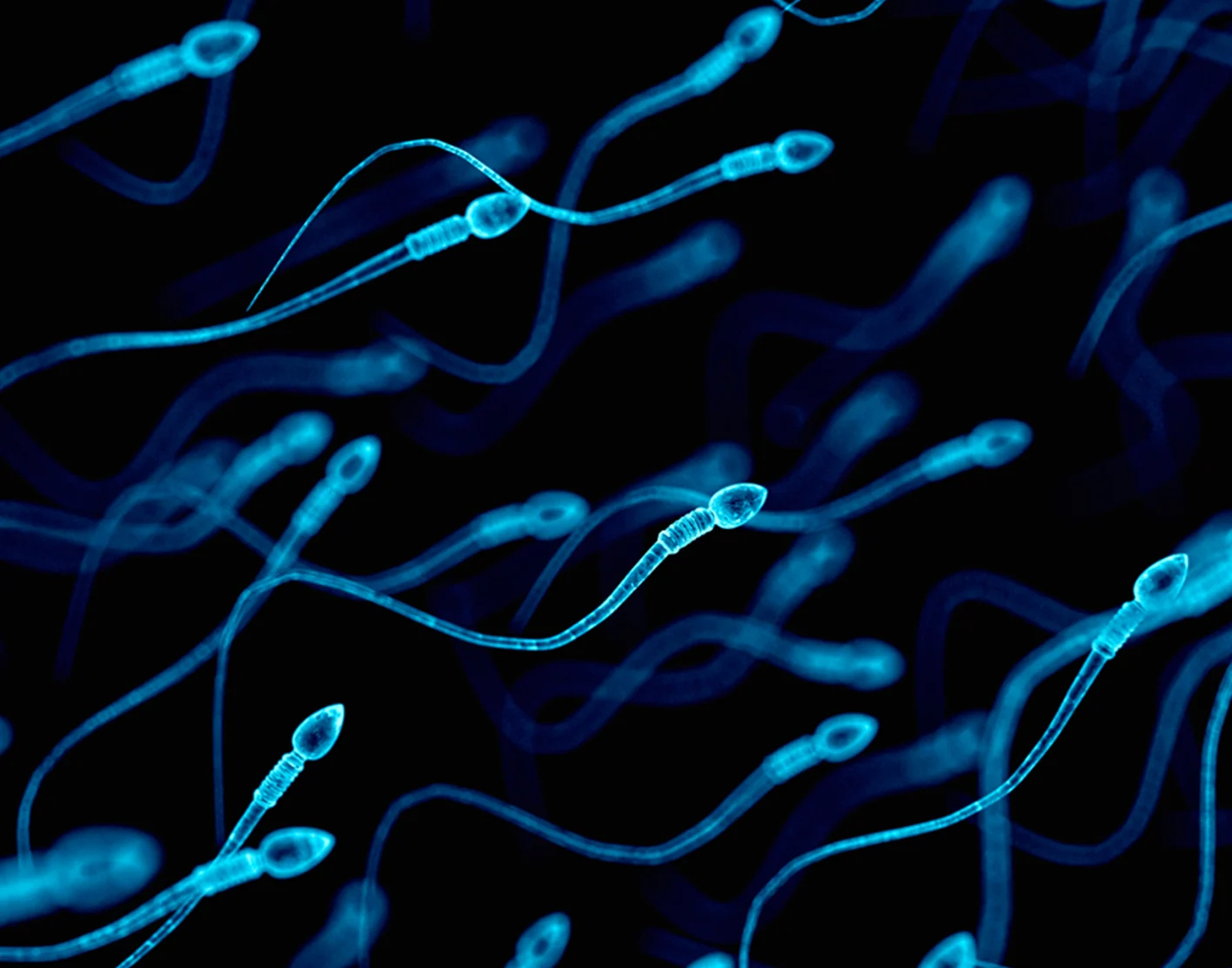 semen-analysis-708×556-2x